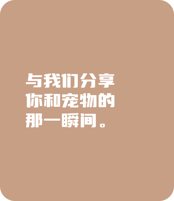 今年会jinnianhuicom宠物，无处不在